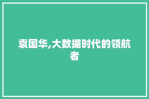 袁国华,大数据时代的领航者 百度SEO