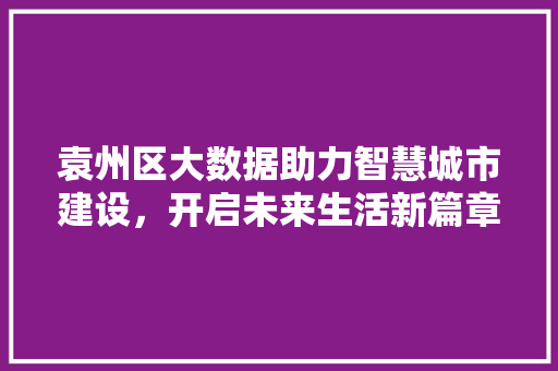 袁州区大数据助力智慧城市建设，开启未来生活新篇章 搜狗SEO