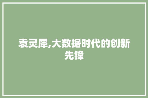 袁灵犀,大数据时代的创新先锋 GoogleSEO
