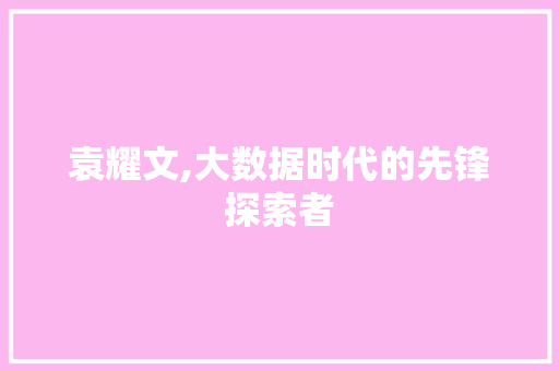袁耀文,大数据时代的先锋探索者 神马SEO