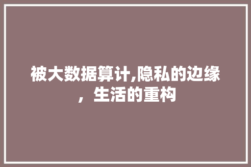 被大数据算计,隐私的边缘，生活的重构