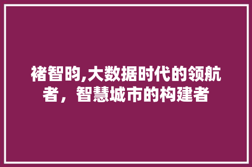 褚智昀,大数据时代的领航者，智慧城市的构建者 搜狗SEO