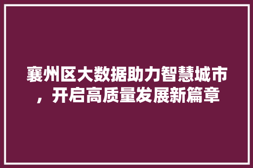襄州区大数据助力智慧城市，开启高质量发展新篇章 神马SEO