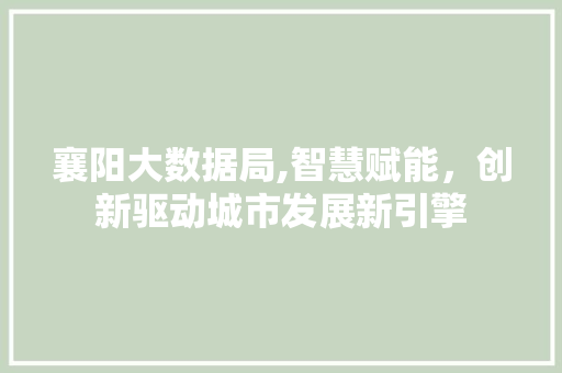 襄阳大数据局,智慧赋能，创新驱动城市发展新引擎 神马SEO