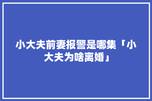 小大夫前妻报警是哪集「小大夫为啥离婚」 小大夫前妻报警是哪集「小大夫为啥离婚」 必应SEO