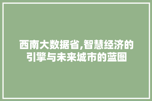 西南大数据省,智慧经济的引擎与未来城市的蓝图 GoogleSEO