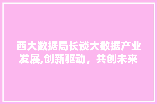 西大数据局长谈大数据产业发展,创新驱动，共创未来 必应SEO