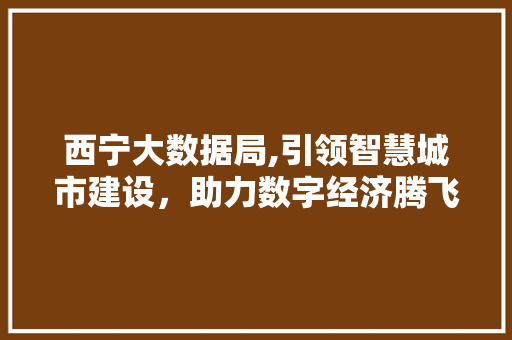 西宁大数据局,引领智慧城市建设，助力数字经济腾飞 搜狗SEO