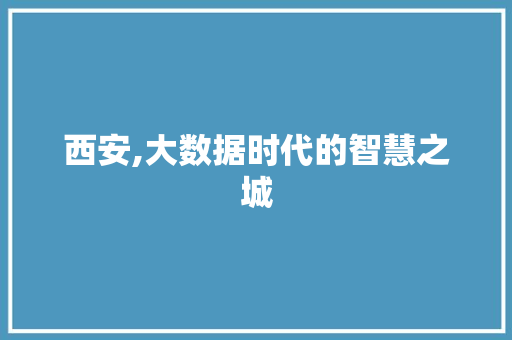 西安,大数据时代的智慧之城 GoogleSEO