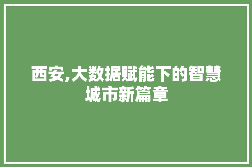 西安,大数据赋能下的智慧城市新篇章 神马SEO