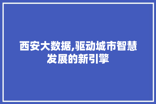 西安大数据,驱动城市智慧发展的新引擎 神马SEO