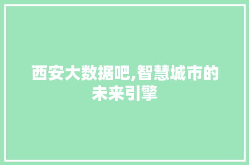 西安大数据吧,智慧城市的未来引擎 百度SEO
