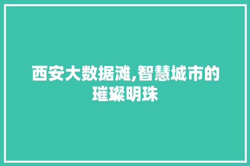 西安大数据滩,智慧城市的璀璨明珠 百度SEO