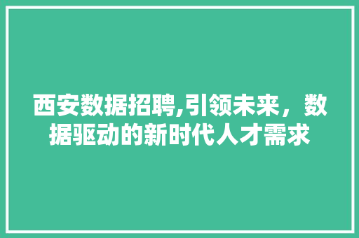 西安数据招聘,引领未来，数据驱动的新时代人才需求 必应SEO