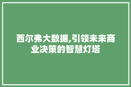 西尔弗大数据,引领未来商业决策的智慧灯塔 GoogleSEO