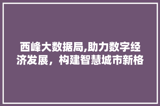 西峰大数据局,助力数字经济发展，构建智慧城市新格局 百度SEO