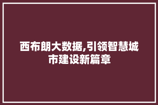 西布朗大数据,引领智慧城市建设新篇章 搜狗SEO