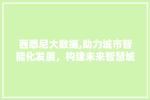 西悉尼大数据,助力城市智能化发展，构建未来智慧城市 必应SEO