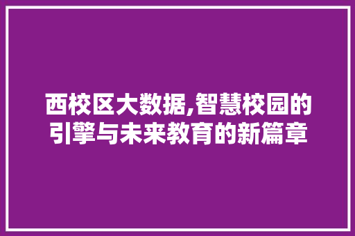 西校区大数据,智慧校园的引擎与未来教育的新篇章
