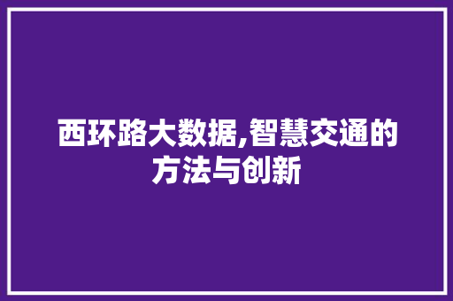 西环路大数据,智慧交通的方法与创新 GoogleSEO