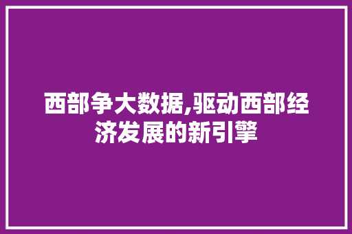 西部争大数据,驱动西部经济发展的新引擎 GoogleSEO
