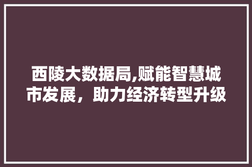 西陵大数据局,赋能智慧城市发展，助力经济转型升级 百度SEO