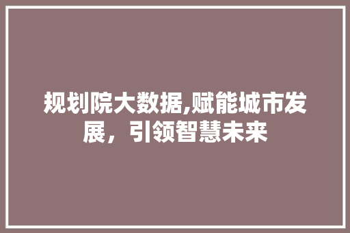 规划院大数据,赋能城市发展，引领智慧未来 百度SEO