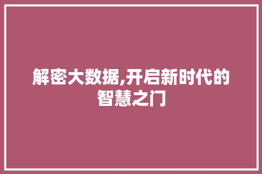 解密大数据,开启新时代的智慧之门 神马SEO