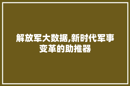 解放军大数据,新时代军事变革的助推器 GoogleSEO