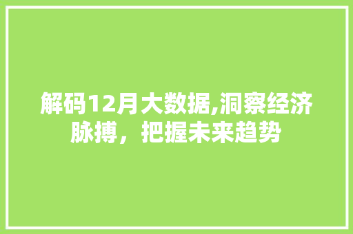 解码12月大数据,洞察经济脉搏，把握未来趋势 神马SEO