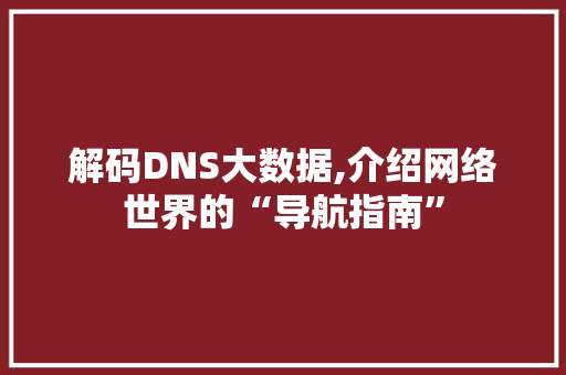 解码DNS大数据,介绍网络世界的“导航指南” GoogleSEO