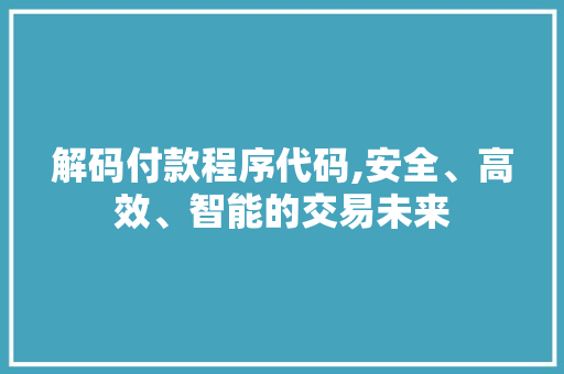 解码付款程序代码,安全、高效、智能的交易未来 GoogleSEO