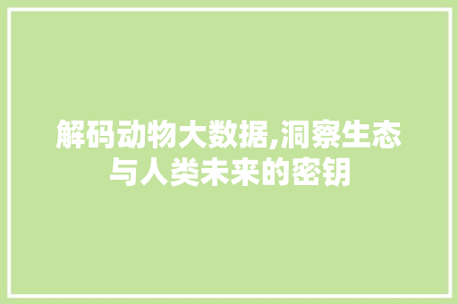 解码动物大数据,洞察生态与人类未来的密钥 GoogleSEO