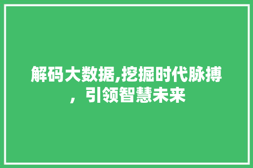解码大数据,挖掘时代脉搏,引领智慧未来 GoogleSEO 解码大数据,挖掘时代脉搏,引领智慧未来 GoogleSEO