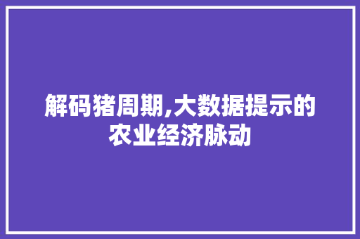解码猪周期,大数据提示的农业经济脉动 必应SEO