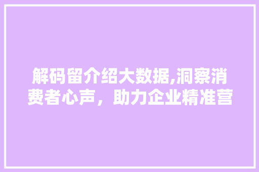解码留介绍大数据,洞察消费者心声，助力企业精准营销