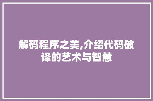 解码程序之美,介绍代码破译的艺术与智慧 必应SEO