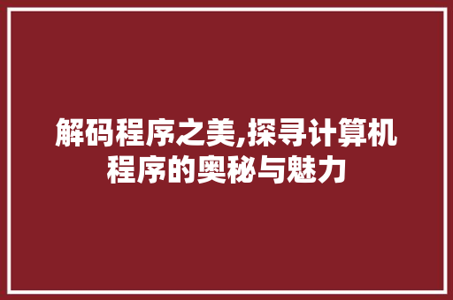 解码程序之美,探寻计算机程序的奥秘与魅力 GoogleSEO