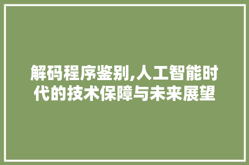 解码程序鉴别,人工智能时代的技术保障与未来展望 神马SEO