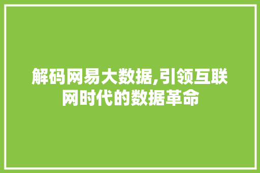 解码网易大数据,引领互联网时代的数据革命 必应SEO