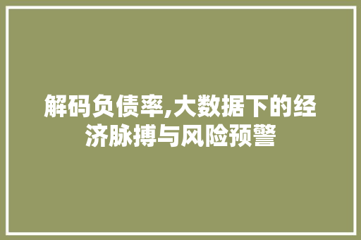 解码负债率,大数据下的经济脉搏与风险预警 百度SEO