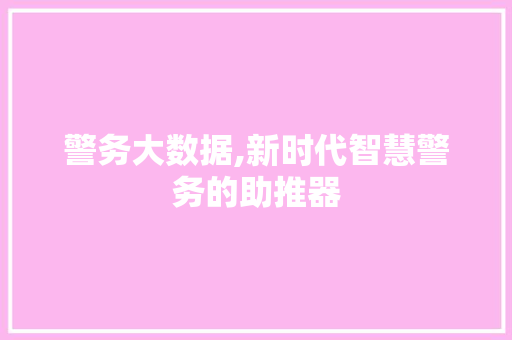 警务大数据,新时代智慧警务的助推器