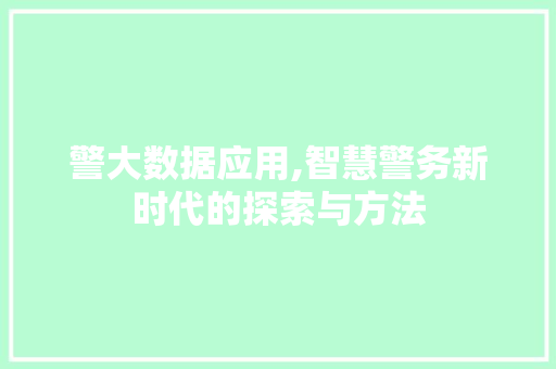 警大数据应用,智慧警务新时代的探索与方法 神马SEO