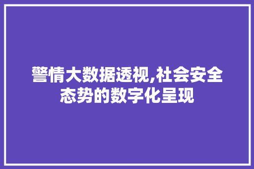 警情大数据透视,社会安全态势的数字化呈现 GoogleSEO