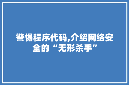 警惕程序代码,介绍网络安全的“无形杀手” 必应SEO