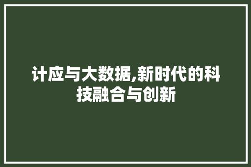 计应与大数据,新时代的科技融合与创新 搜狗SEO