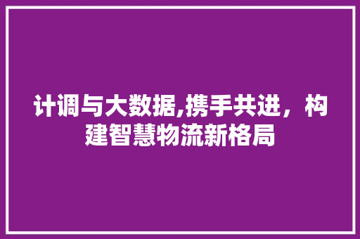 计调与大数据,携手共进，构建智慧物流新格局 神马SEO