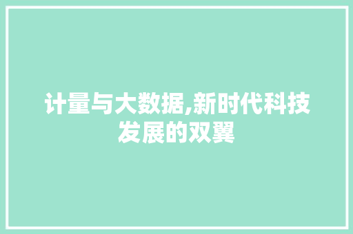计量与大数据,新时代科技发展的双翼 必应SEO