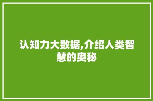 认知力大数据,介绍人类智慧的奥秘 神马SEO
