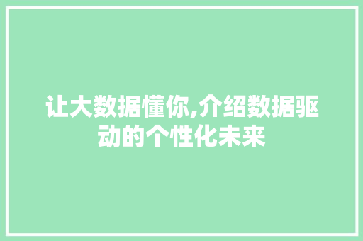 让大数据懂你,介绍数据驱动的个性化未来 必应SEO